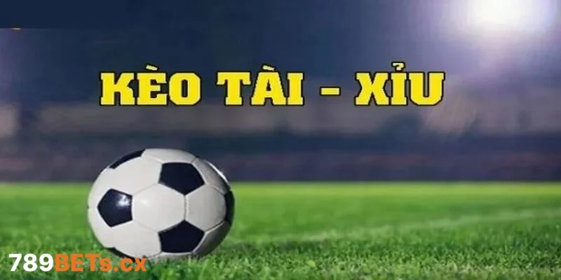 Phương pháp soi kèo tài xỉu được chuyên gia áp dụng